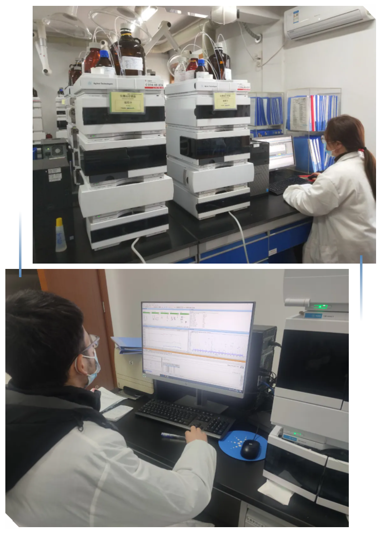德赢·(VWIN)官方网站-AC米兰官方合作同伴