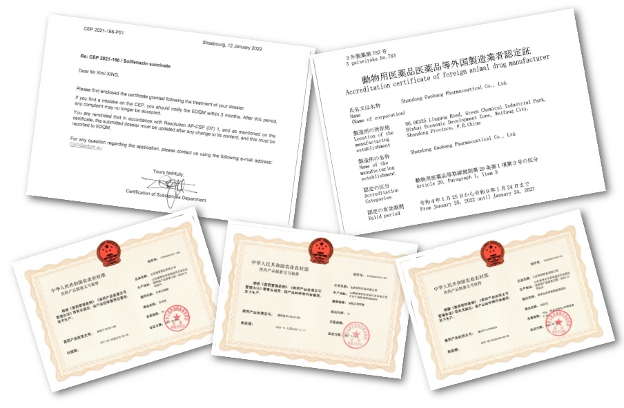 德赢·(VWIN)官方网站-AC米兰官方合作同伴