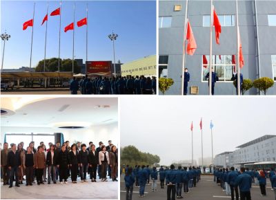 行稳致远 坚守初心—德赢VWIN医药28周年升旗及宣誓活动